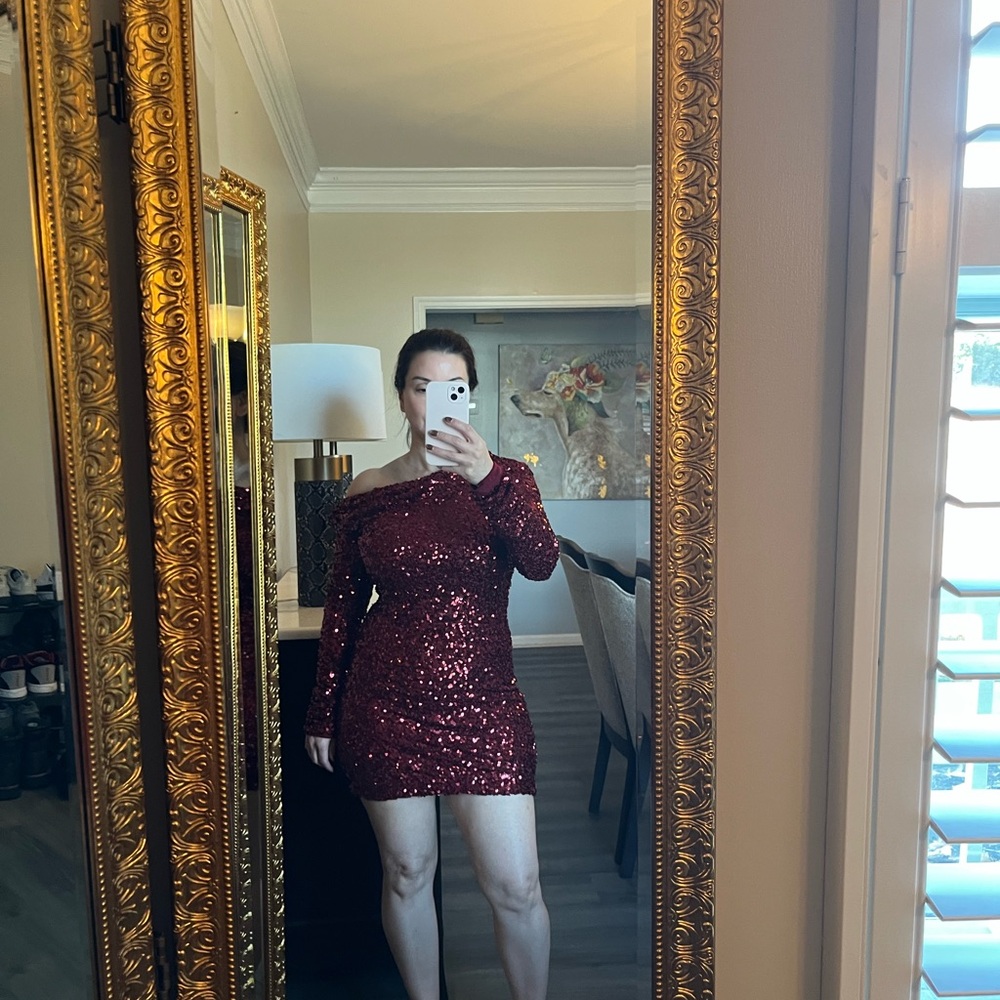 Vici Sparkling Burgundy Sequin Mini Dress